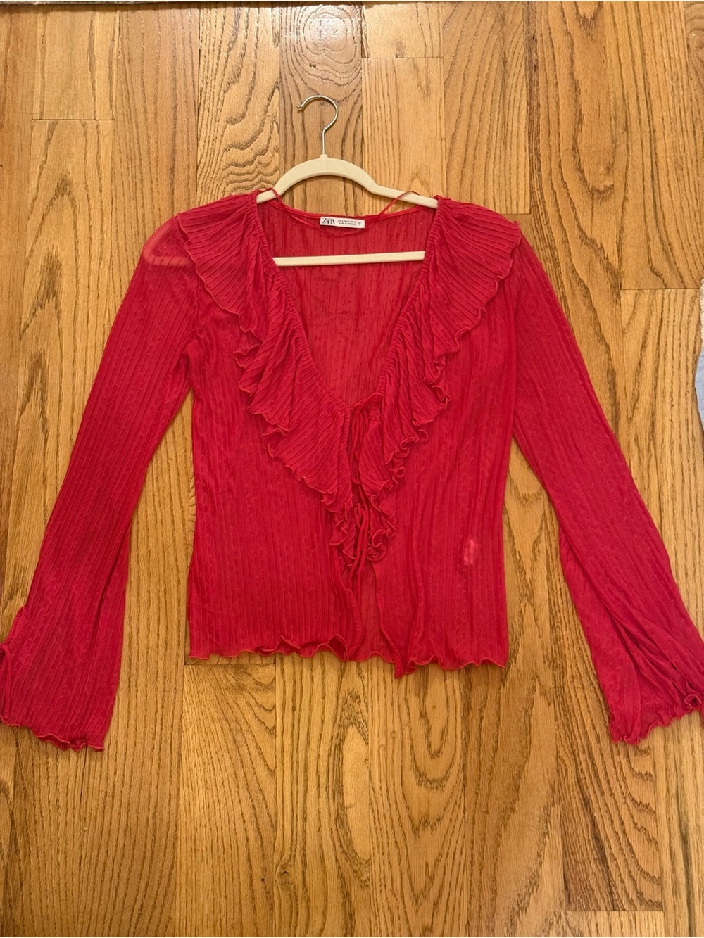 Zara Hot Pink Ruffle V-Neck Sheer Blouse